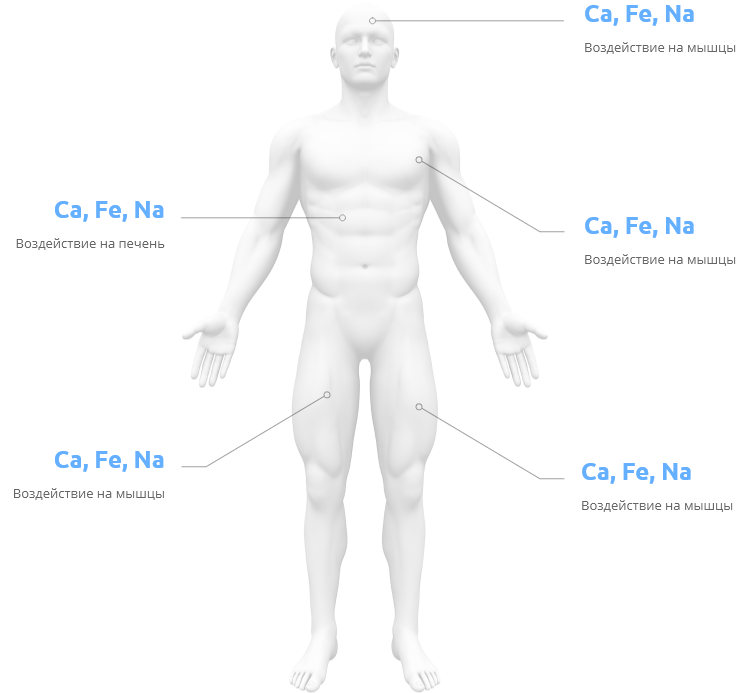 Human