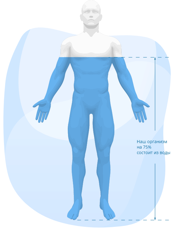 body