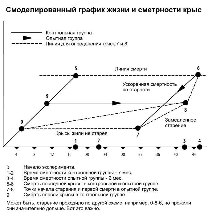 график